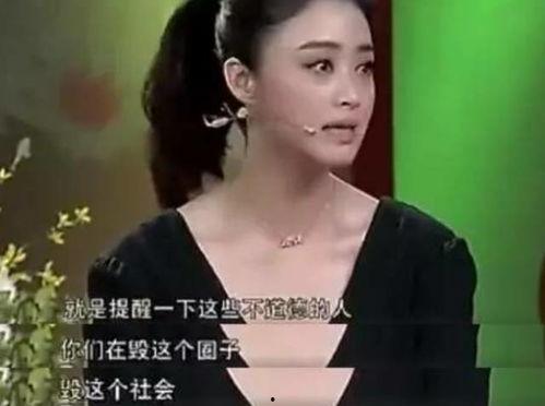 潜规则吴思txt全集下载 娱乐圈女明星有多脏,娱乐圈女明星的隐秘生活